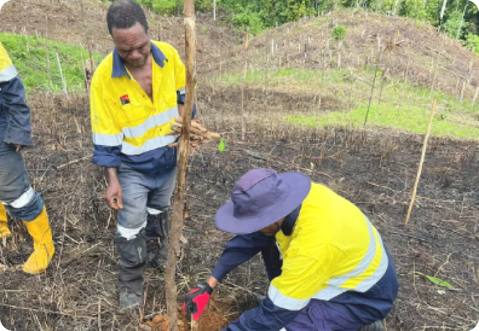 Achievements Papua Lng